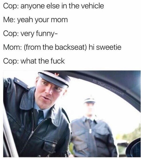 anyone else in the vehicle yeah your mom - Cop anyone else in the vehicle Me yeah your mom Cop very funny Mom from the backseat hi sweetie Cop what the fuck Ig TheFunnyintrovert