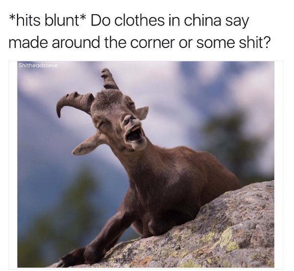 crackhead goat - hits blunt Do clothes in china say made around the corner or some shit? Shitheadsteve