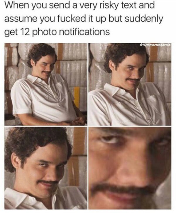 smash and pass memes - When you send a very risky text and assume you fucked it up but suddenly get 12 photo notifications Timsmemeservice
