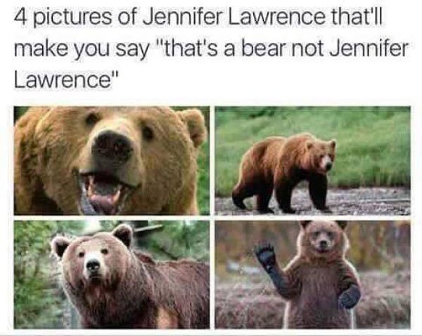 4 pictures of jennifer lawrence - 4 pictures of Jennifer Lawrence that'll make you say "that's a bear not Jennifer Lawrence"