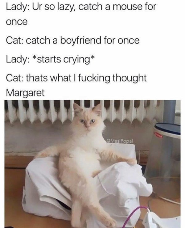 crying cat meme - Lady Ur so lazy, catch a mouse for once Cat catch a boyfriend for once Lady starts crying Cat thats what I fucking thought Margaret Masipopal