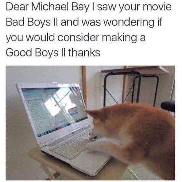 dear michael bay - Dear Michael Bay I saw your movie Bad Boys Ii and was wondering if you would consider making a Good Boys Ii thanks