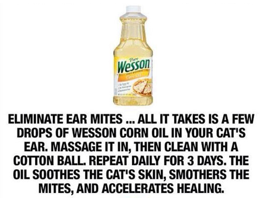 19 Convenient Health Hacks To Avoid Overpriced Medicine