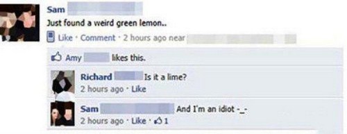stupid facebook posts - Sam Just found a weird green lemon.. Comment 2 hours ago near Amy this. Richard Is it a lime? 2 hours ago And I'm an idiot Sam 2 hours ago 61