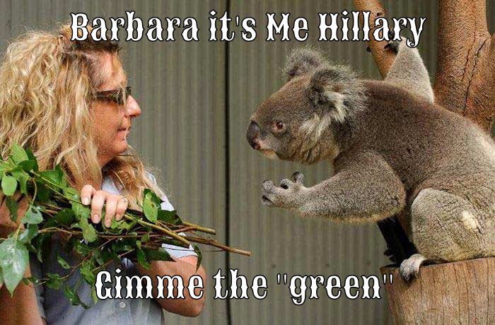 Hillary in Australia