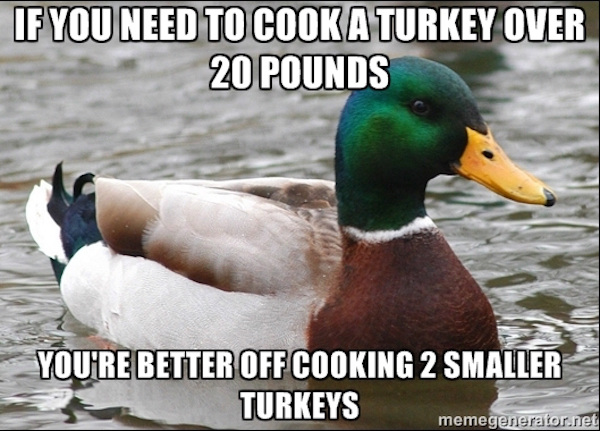Very funny duck meme about how it is better to cook 2 smaller turkeys than a large one