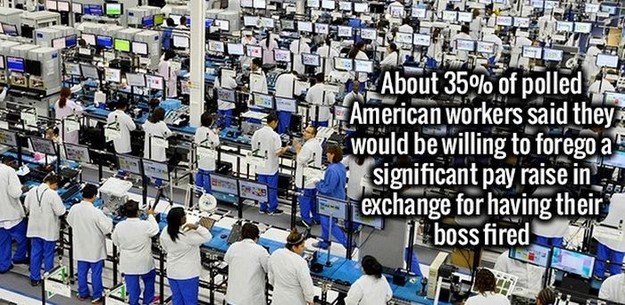 biggest factory in the world - About 35% of polled a Jl. American workers said they A would be willing to forego a' significant pay raise in si exchange for having their | boss fired 30
