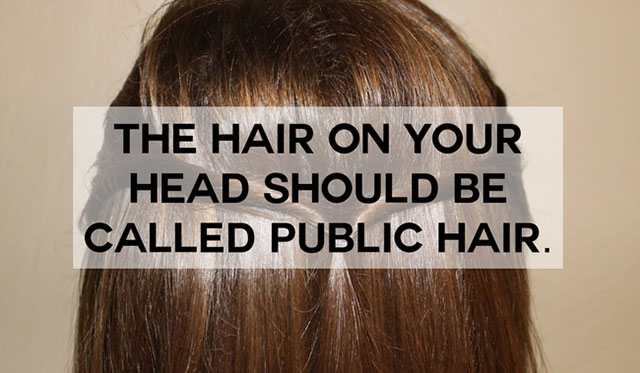 funny name back of head hair - The Hair On Your Head Should Be Called Public Hair.