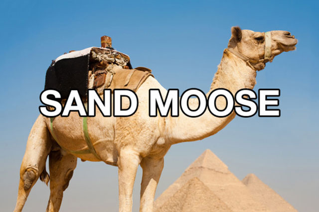 funny name for everyday objects - Sand Moose
