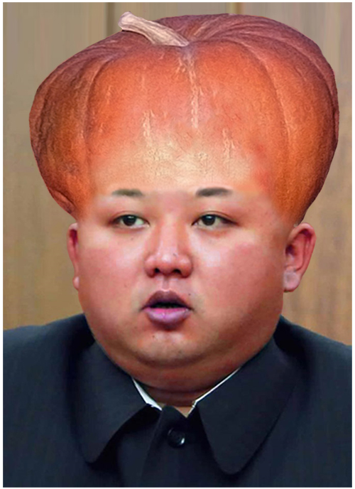 Kim Jong Un hair collection