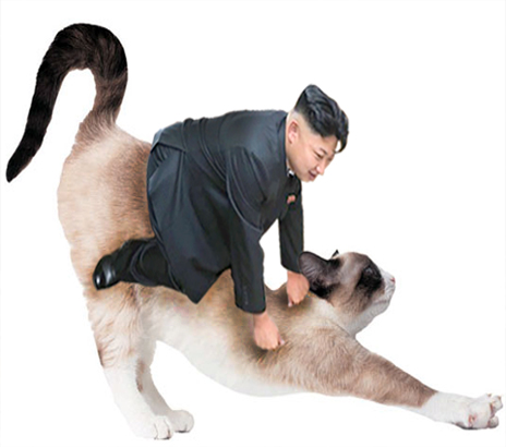 Cat's in NK
