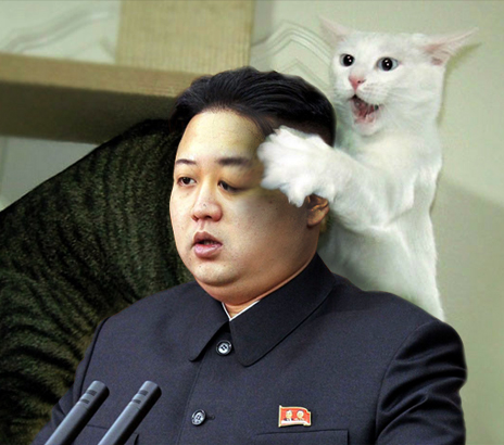 Cat's in NK