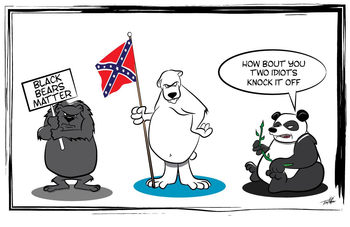 Political cartoon 3 bears, black bears matter, polar bear with confederate flag, panda