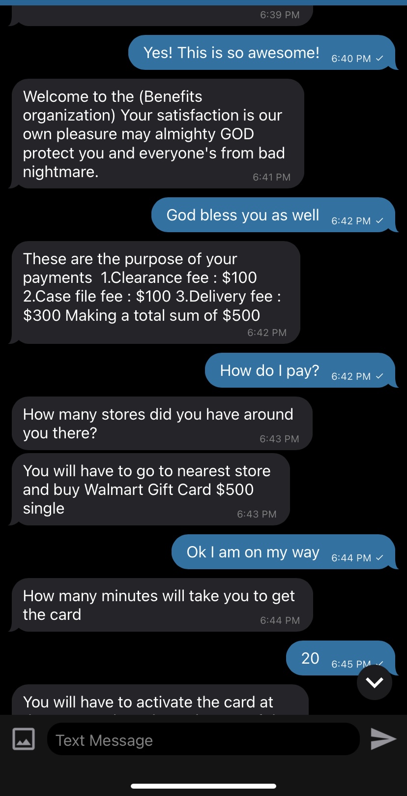 Trolling a Scammer