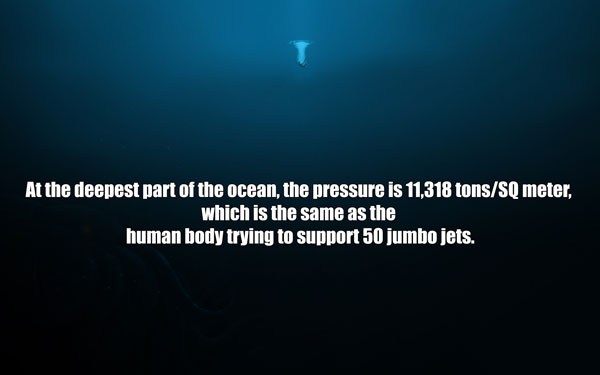 fun science facts - At the deepest part of the ocean, the pressure is 11,318 tonsSq meter, which is the same as the human body trying to support 50 jumbo jets.