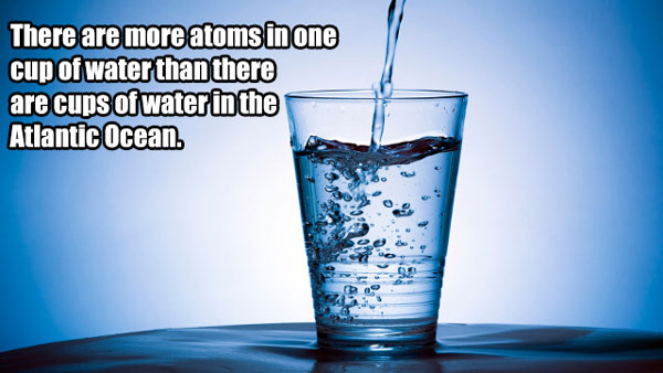 fluoride water - There are more atoms in one cup of water than there are cups of water in the Atlantic Ocean. To a