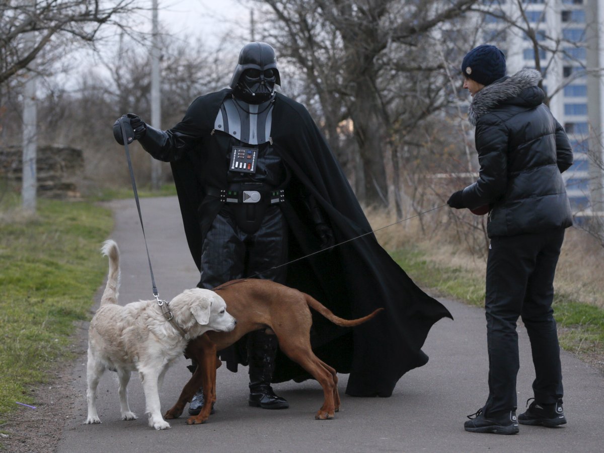 Vader practicing proper dog-trail etiquette.