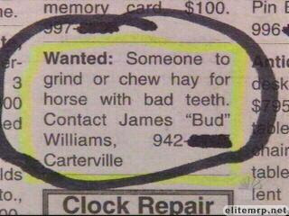 Hay Chewer for Horse. Pays well given that there's probably not a lot of people with teeth in the area.