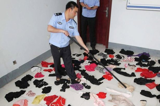 The All-Time Greatest Panty Thief - Stealing women’s underwear is kind of an epidemic in Japan. A 55 year old man was arrested for this exact crime, and when police came to investigate his house they found more than 3,000 stolen pairs of women’s underwear. IMO he's either a prolific pervert or a broke-ass drag queen. Perhaps both?