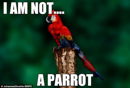 Who's a clever boy? Artist paints woman's entire body to make her look like a parrot!
LINK...

http://www.dailymail.co.uk/news/article-2580260/Artist-paints-womans-entire-body-make-look-like-parrot.html#ixzz3xU2dLwGk