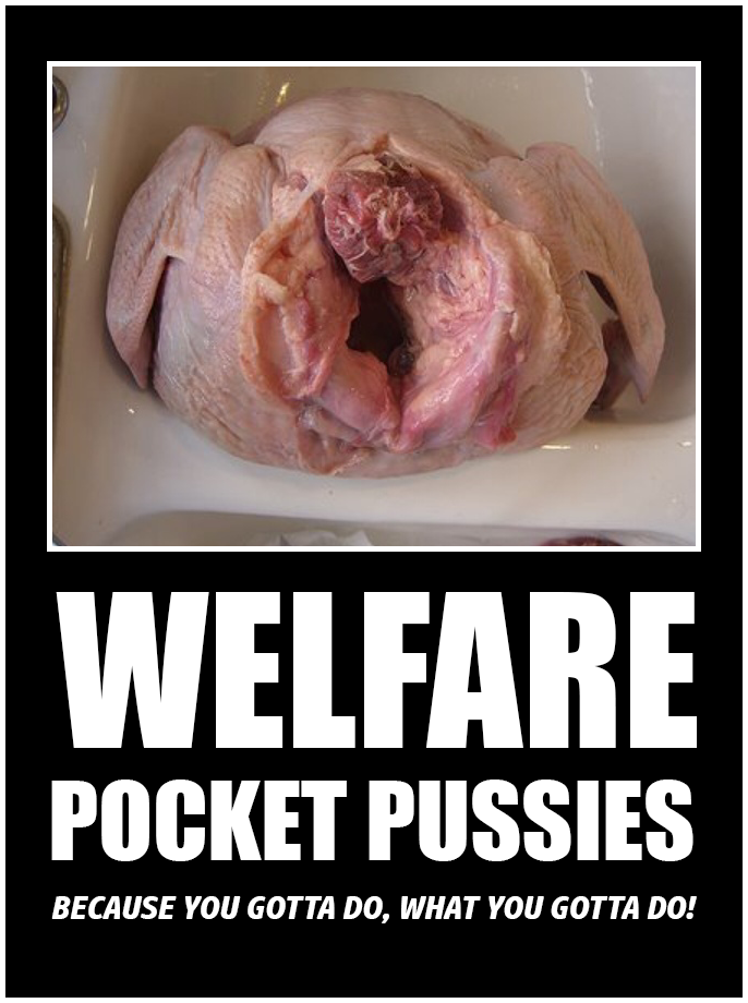 pocket pussy memes - Welfare Pocket Pussies Because You Gotta Do, What You Gotta Do!