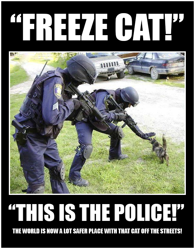 law enforcement code of ethics - "Freeze Cat!" ""This Is The Police!" The World Is Now A Lot Safer Place With That Cat Off The Streets!