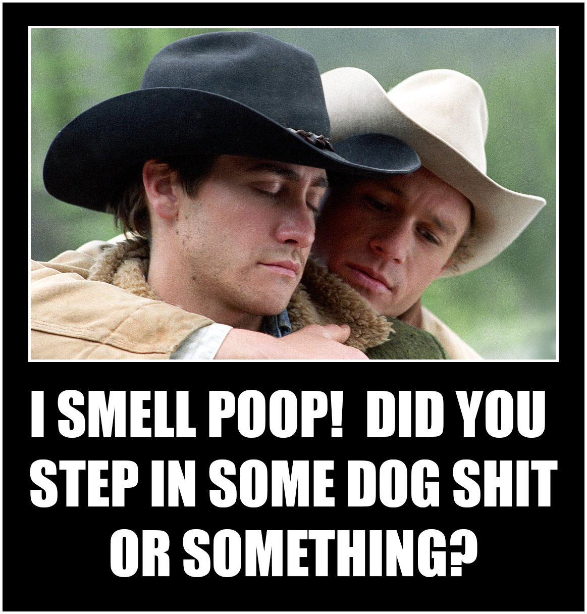 brokeback mountain meme - I Smell Poop! Did You Step In Some Dog Shit Or Something?