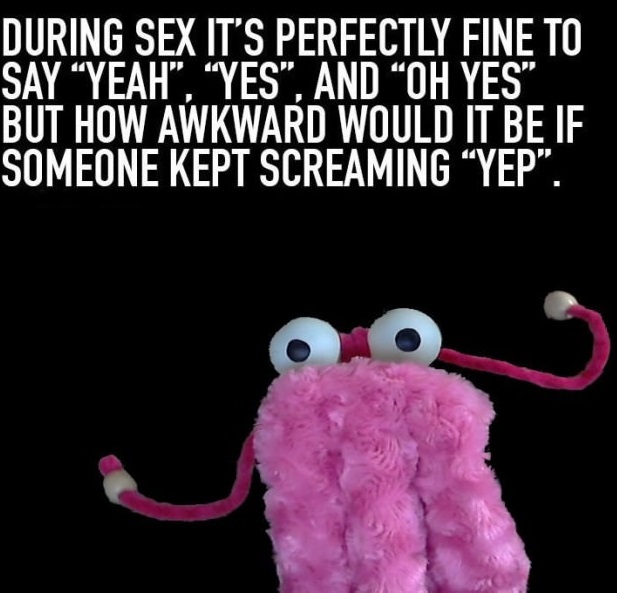 yep yep yep meme - During Sex It'S Perfectly Fine To Say Yeah", "Yes", And Oh Yes" But How Awkward Would It Be If Someone Kept Screaming Yep.