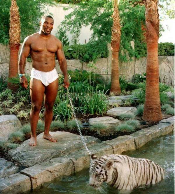 nostalgic mike tyson in underwear with tiger