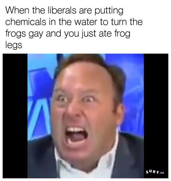 meme alex jones frogs meme - When the liberals are putting chemicals in the water to turn the frogs gay and you just ate frog legs Surf.Co