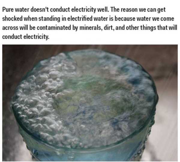 35 Scientific Facts That Are Actually Complete Bullshit