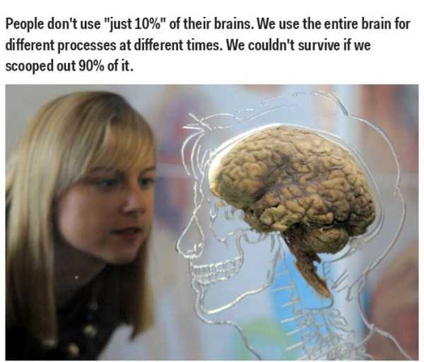 35 Scientific Facts That Are Actually Complete Bullshit