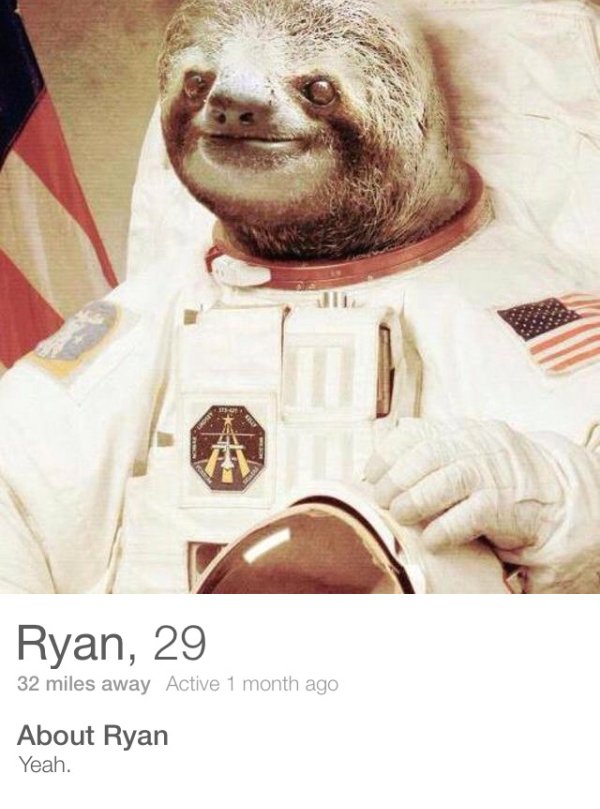 34 Tinder Profiles That Will Certainly Make You Laugh