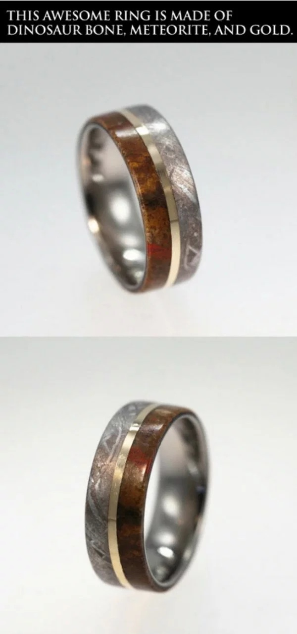 This Awesome Ring Is Made Of Dinosaur Bone. Meteorite, And Gold.