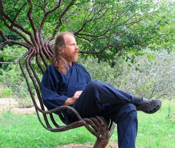 peter cook tree chair