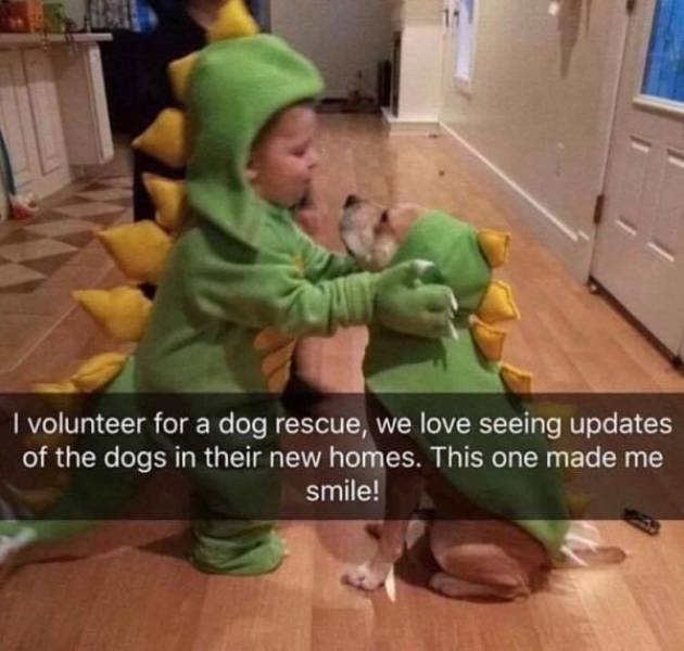 photo caption - I volunteer for a dog rescue, we love seeing updates of the dogs in their new homes. This one made me smile!