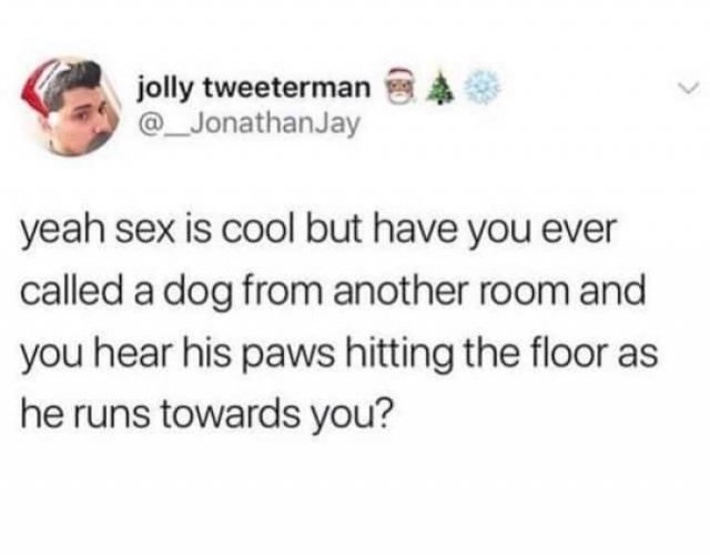 dirty slut for water meme - jolly tweeterman Jay yeah sex is cool but have you ever called a dog from another room and you hear his paws hitting the floor as he runs towards you?