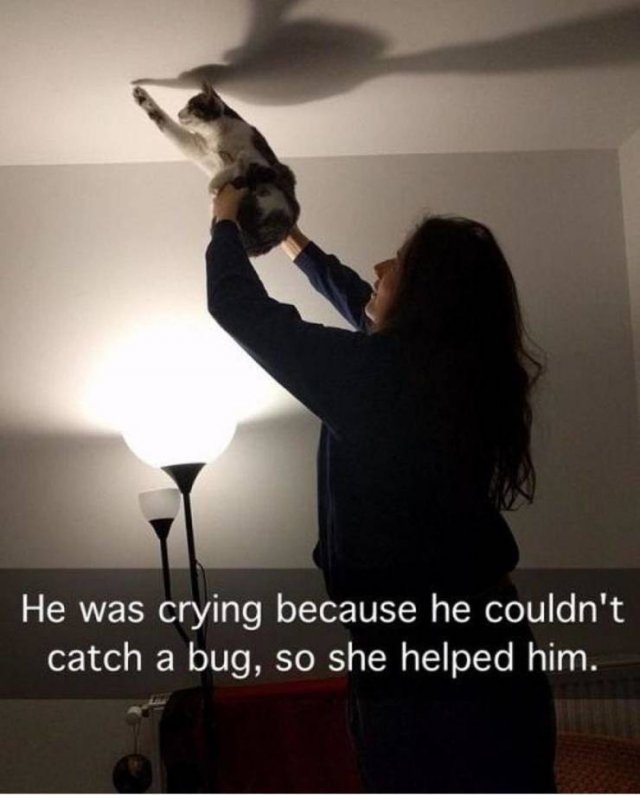 Lolcat - He was crying because he couldn't catch a bug, so she helped him.