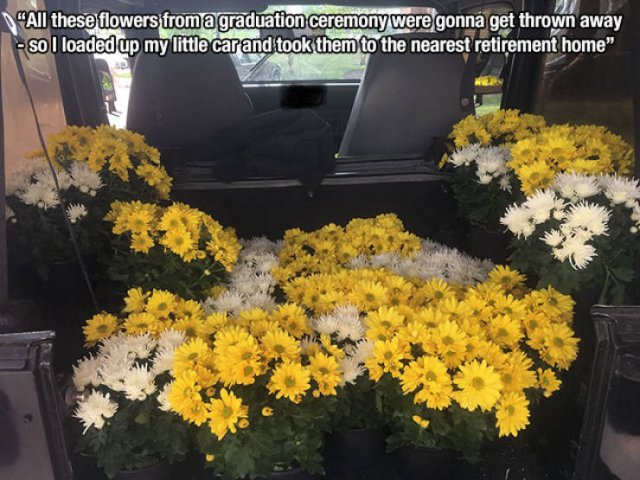 chrysanths - "All these flowers from a graduation ceremony were gonna get thrown away So I loaded up my little car and took them to the nearest retirement home",