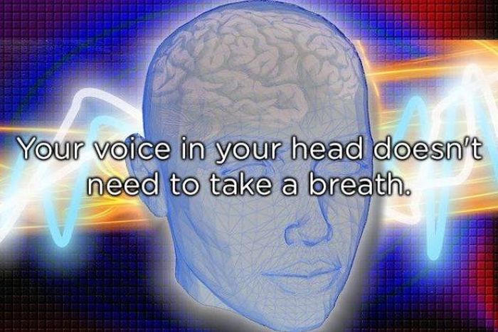 neurologist - Seoteeseeeeestruimte Your voice in your head doesn't need to take a breath.