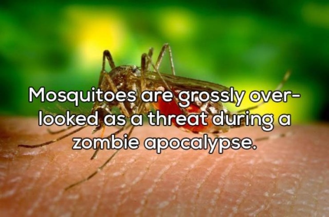 mosquito - Mosquitoes are grossly over looked as a threat during a zombie apocalypse.