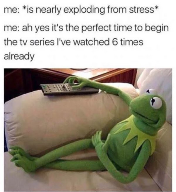 funny meme stress - me is nearly exploding from stress me ah yes it's the perfect time to begin the tv series I've watched 6 times already
