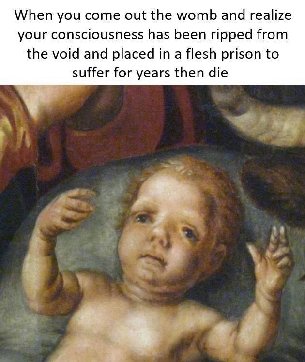 classical painting memes - When you come out the womb and realize your consciousness has been ripped from the void and placed in a flesh prison to suffer for years then die