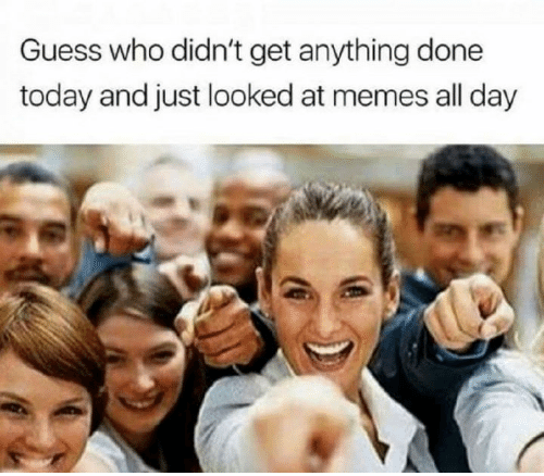 program champion - Guess who didn't get anything done today and just looked at memes all day