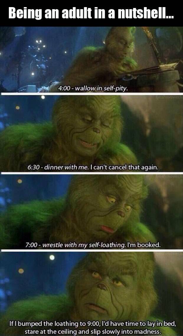 grinch adult meme - Being an adult in a nutshell.. wallow in selfpity. dinner with me. I can't cancel that again. wrestle with my selfloathing. I'm booked. If I bumped the loathing to , I'd have time to lay in bed, stare at the ceiling and slip slowly int