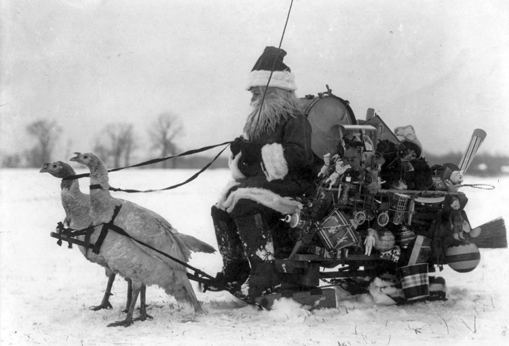 Santa Claus with Christmas toys on a sled drawn by white turkeys. ca 1909.