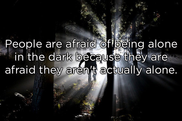 nature - People are afraid of being alone in the dark because they are afraid they aren't actually alone.