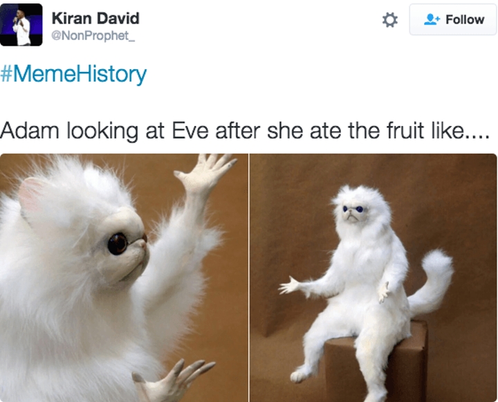 memes - monkey meme - Kiran David History Adam looking at Eve after she ate the fruit ....