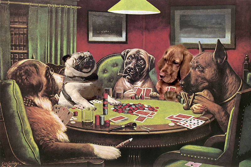 dogs playing poker a bold bluff - Moolidge