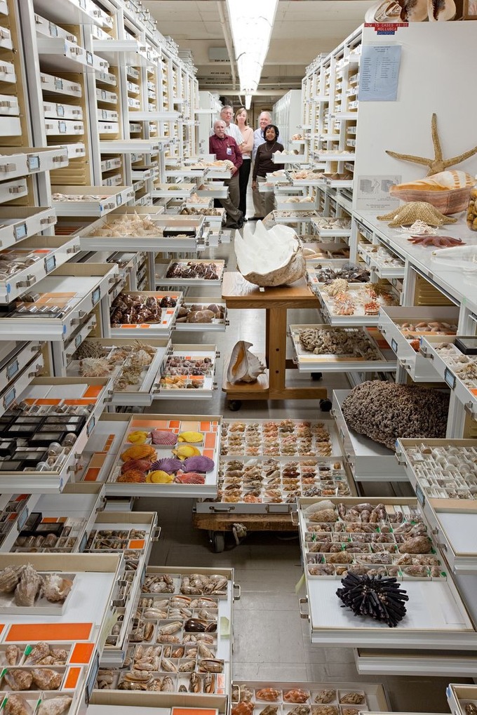 Inside the Specimen Collections of the Smithsonian's Museum of Natural History